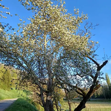 Le Chamounal * Groléjac
