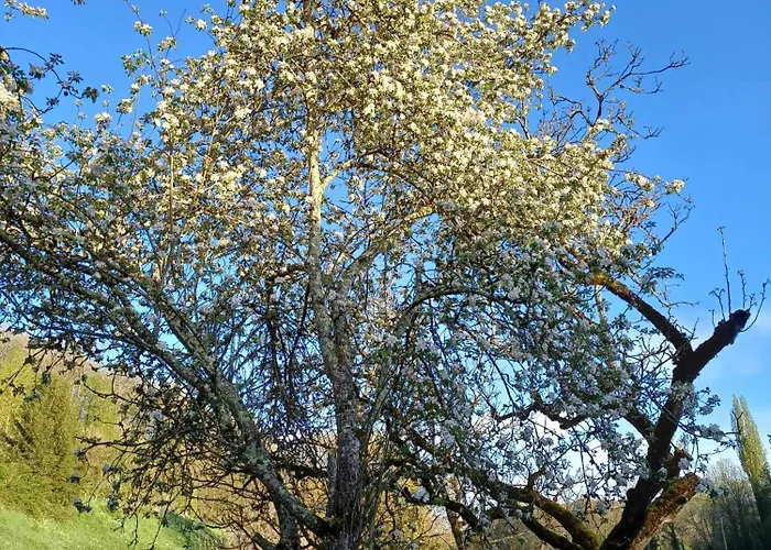 Le Chamounal * Groléjac